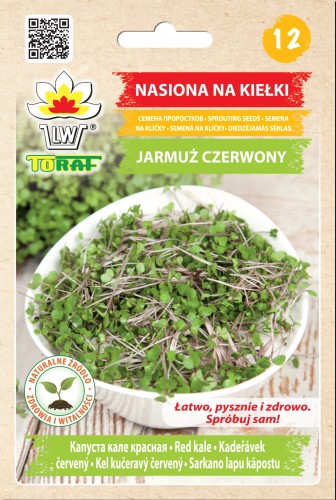 Nasiona na kiełki: JARMUŻ CZERWONY 10 g