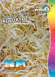 Nasiona na kiełki Kukurydza 40g